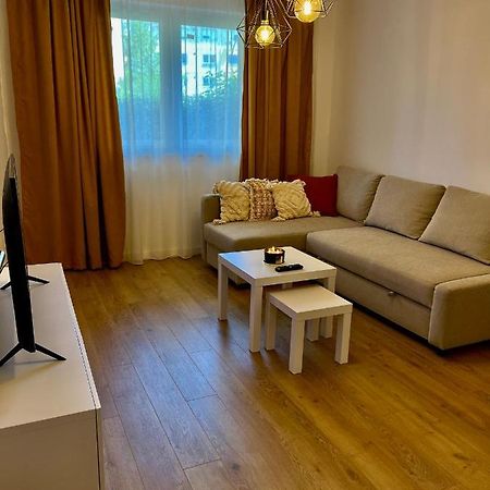 Alexander Cozy Apartment FREE PRIVATE PARKING Mediaş Zewnętrze zdjęcie