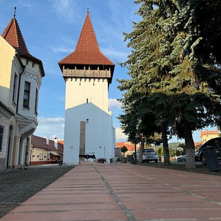 Alexander Cozy Apartment FREE PRIVATE PARKING Mediaş Zewnętrze zdjęcie
