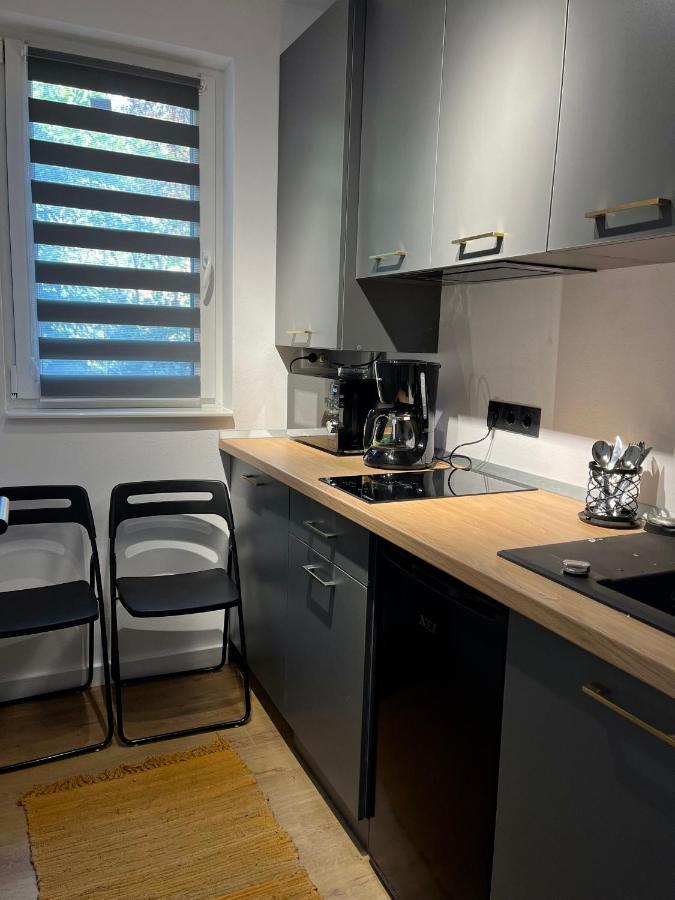 Alexander Cozy Apartment FREE PRIVATE PARKING Mediaş Zewnętrze zdjęcie