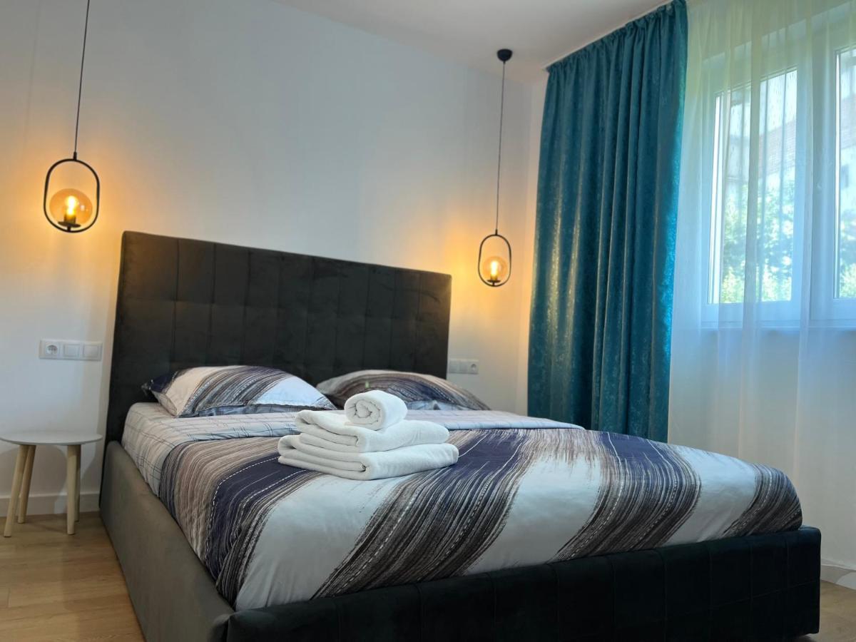 Alexander Cozy Apartment FREE PRIVATE PARKING Mediaş Zewnętrze zdjęcie