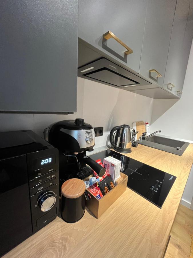 Alexander Cozy Apartment FREE PRIVATE PARKING Mediaş Zewnętrze zdjęcie