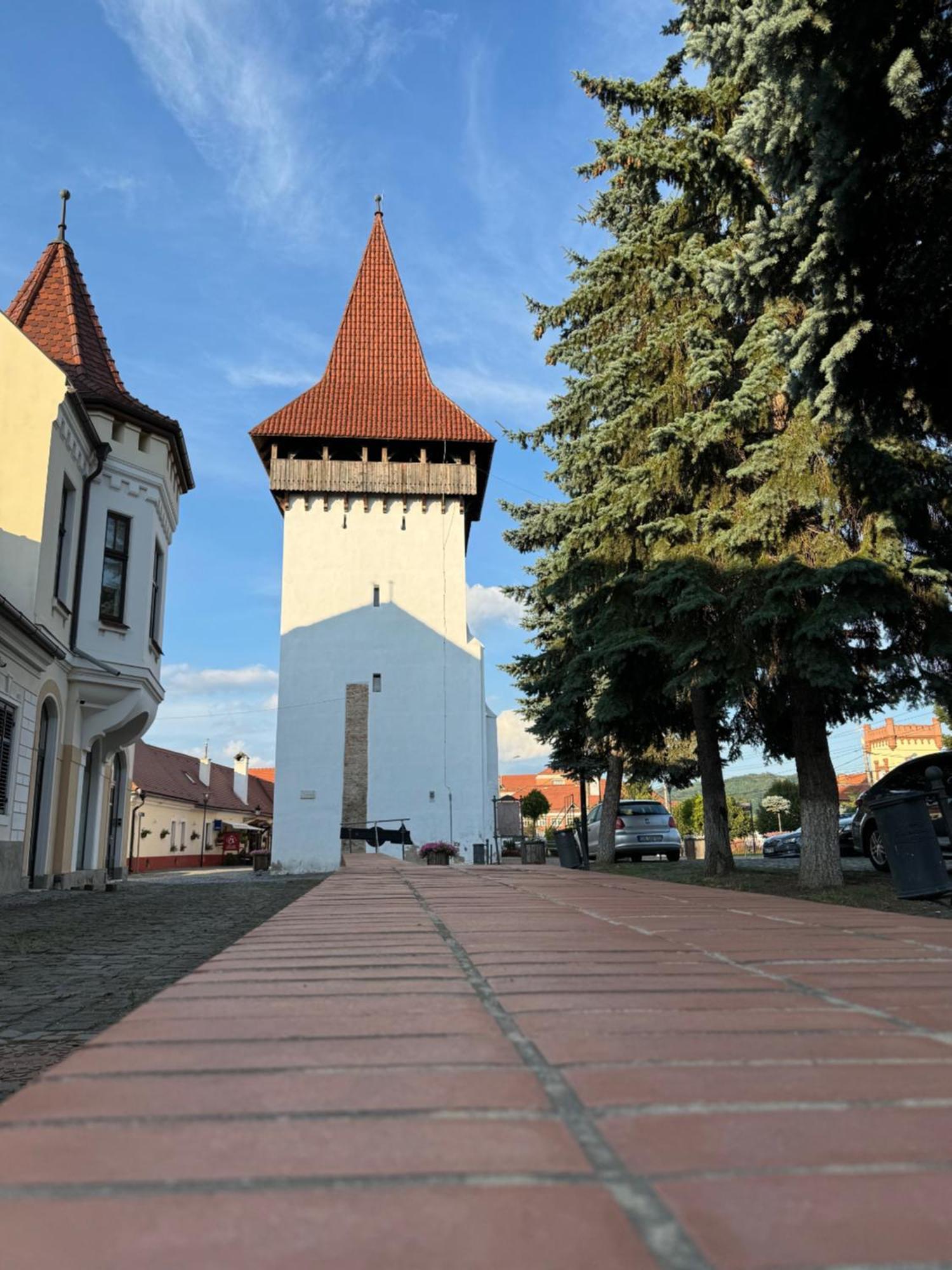 Alexander Cozy Apartment FREE PRIVATE PARKING Mediaş Zewnętrze zdjęcie